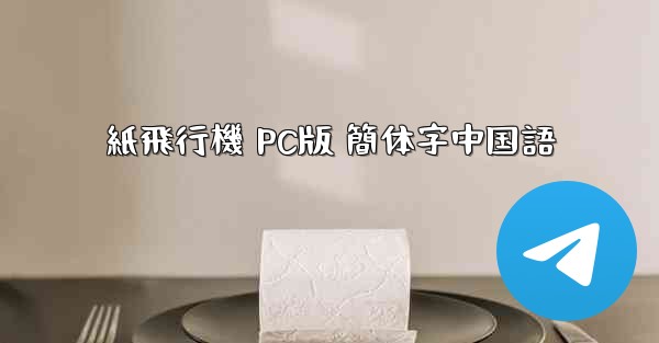 <b>紙飛行機 PC版 簡体字中国語</b>