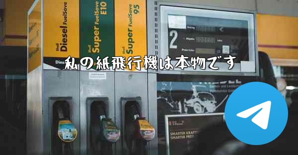 <b>私の紙飛行機は本物です</b>