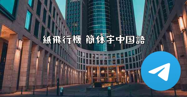 紙飛行機 簡体字中国語