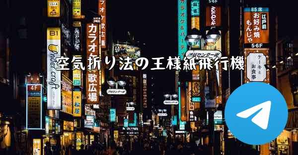 <b>空気折り法の王様紙飛行機</b>