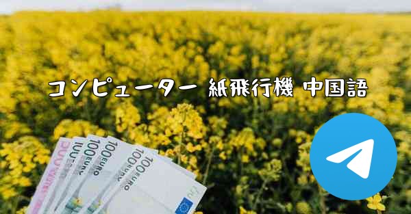 <b>コンピューター 紙飛行機 中国語</b>