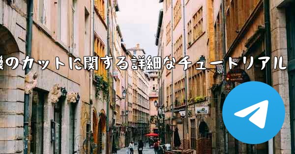 ティッシュペーパー飛行機のカットに関する詳細なチュートリアル