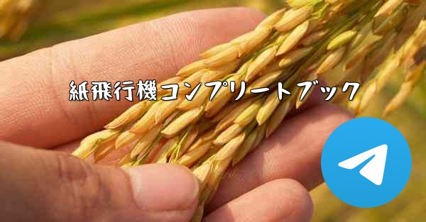 紙飛行機コンプリートブック