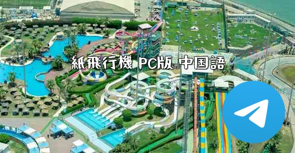 紙飛行機 PC版 中国語