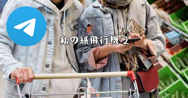 <b>私の紙飛行機 2</b>