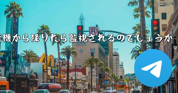 紙飛行機から降りたら監視されるのでしょうか