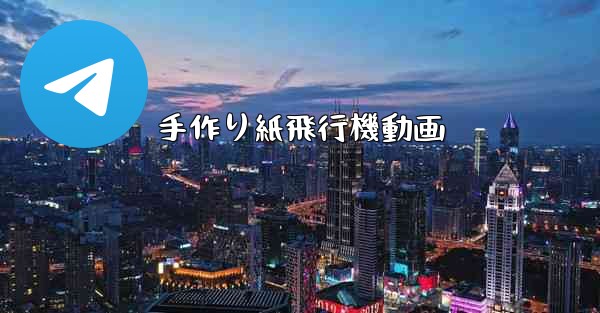 手作り紙飛行機動画