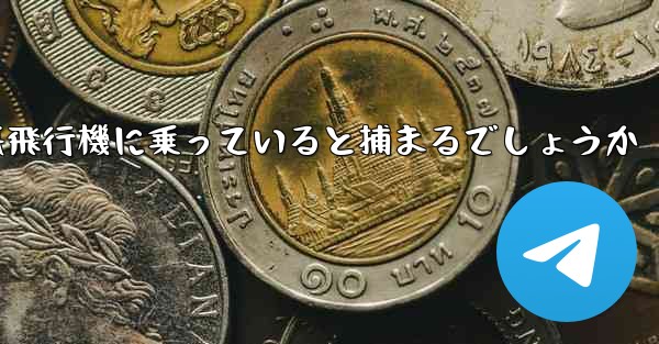 中国で紙飛行機に乗っていると捕まるでしょうか