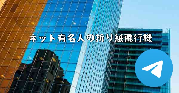 ネット有名人の折り紙飛行機