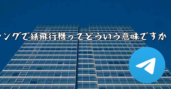 ネットスラングで紙飛行機ってどういう意味ですか